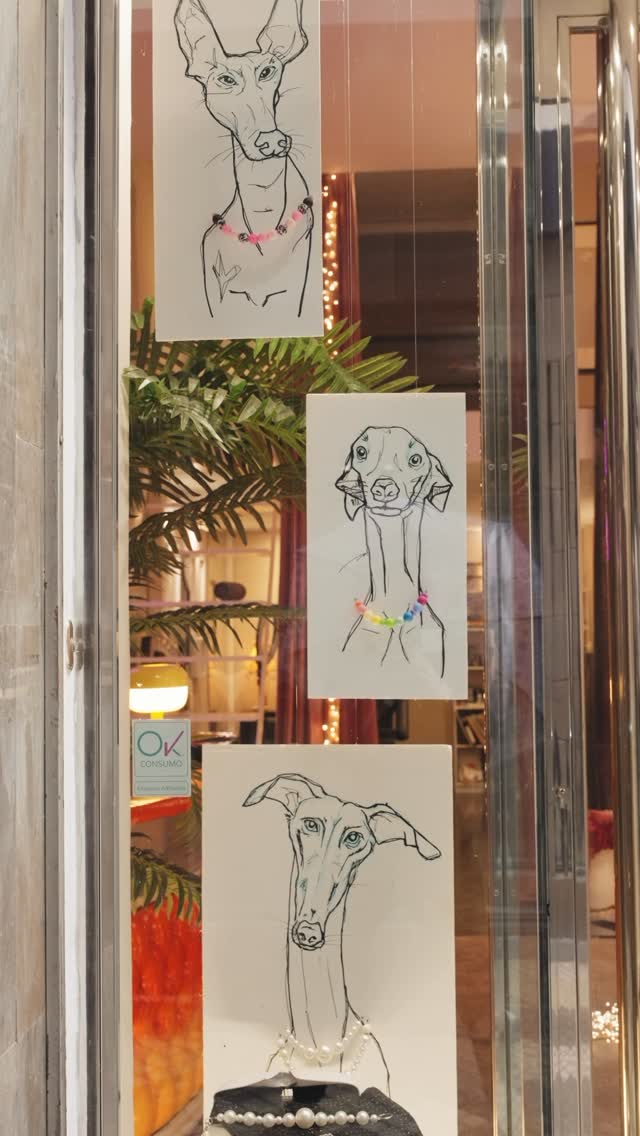 Escaparate del estudio Cardo Tattoo con ilustraciones de perros en el cristal
