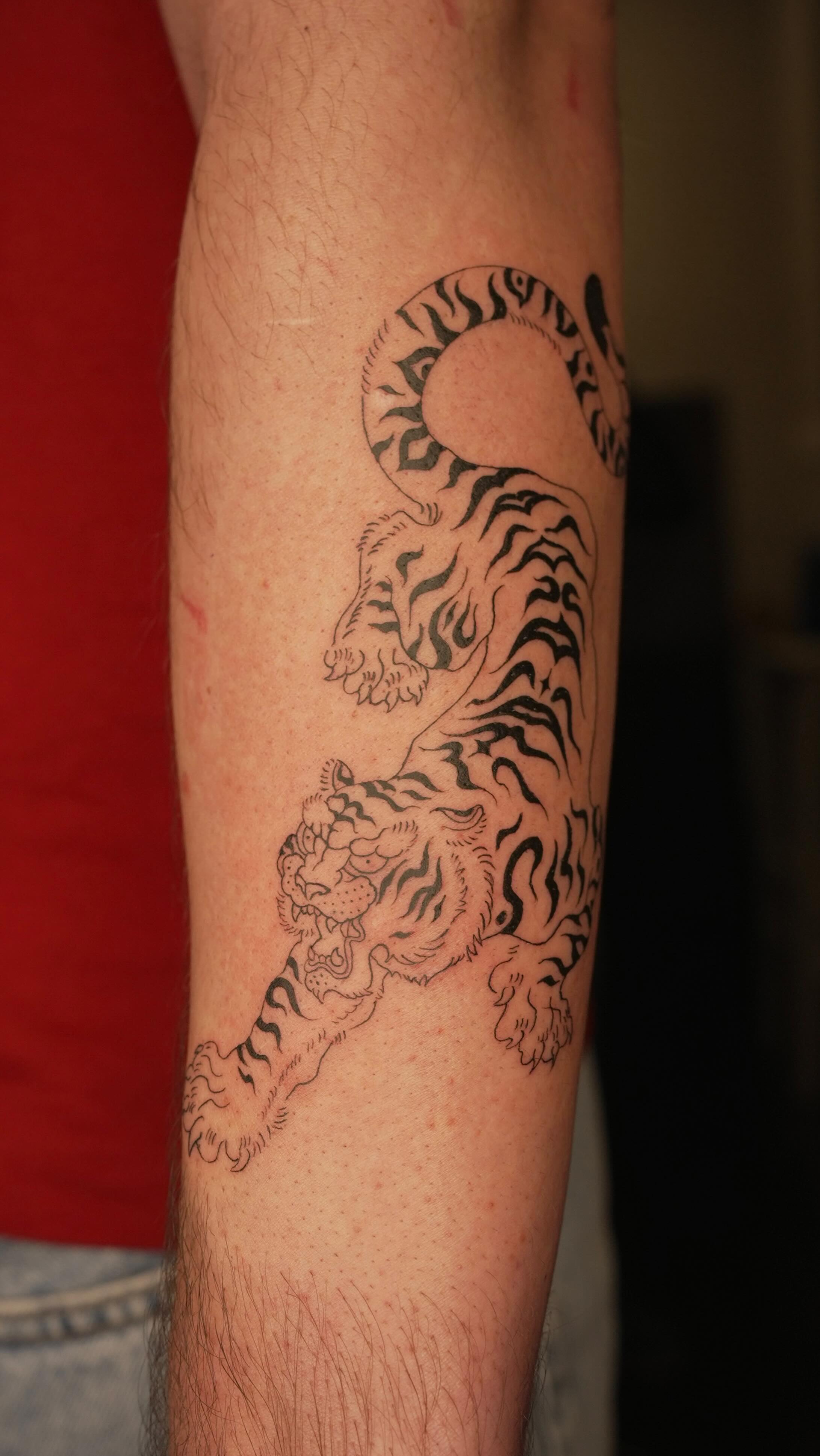 Tatuaje de tigre en estilo blackwork en el antebrazo, realizado en Cardo Tattoo Granada
